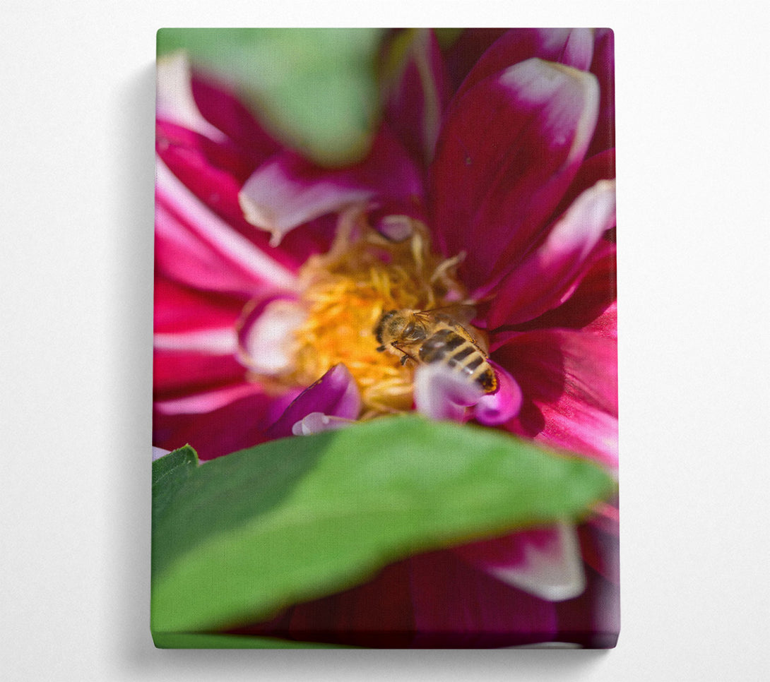  A Canvas Print of Crimson Petal Embrace Canvas Art