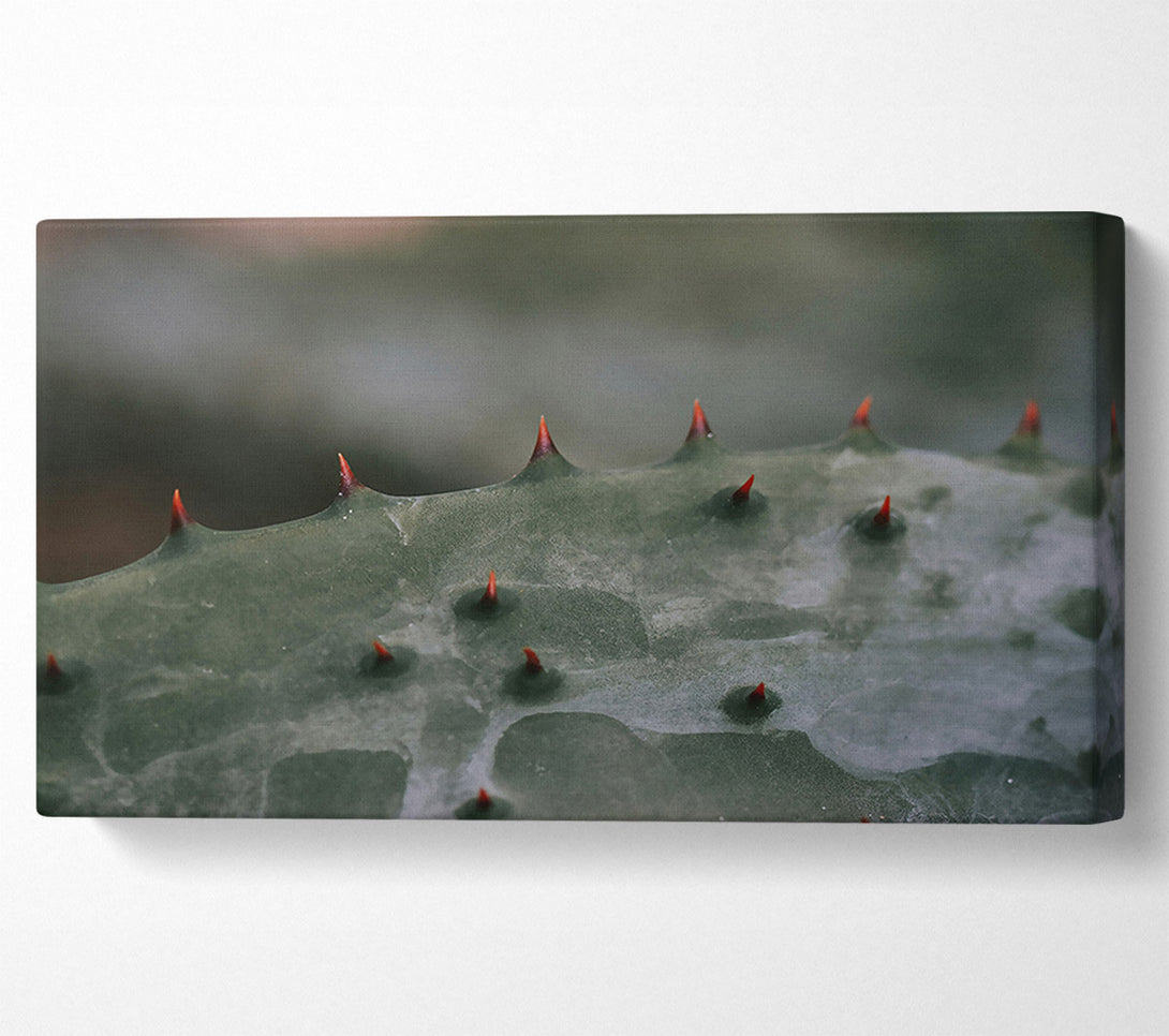  A Canvas Print of Green Spiked Texture Canvas Art