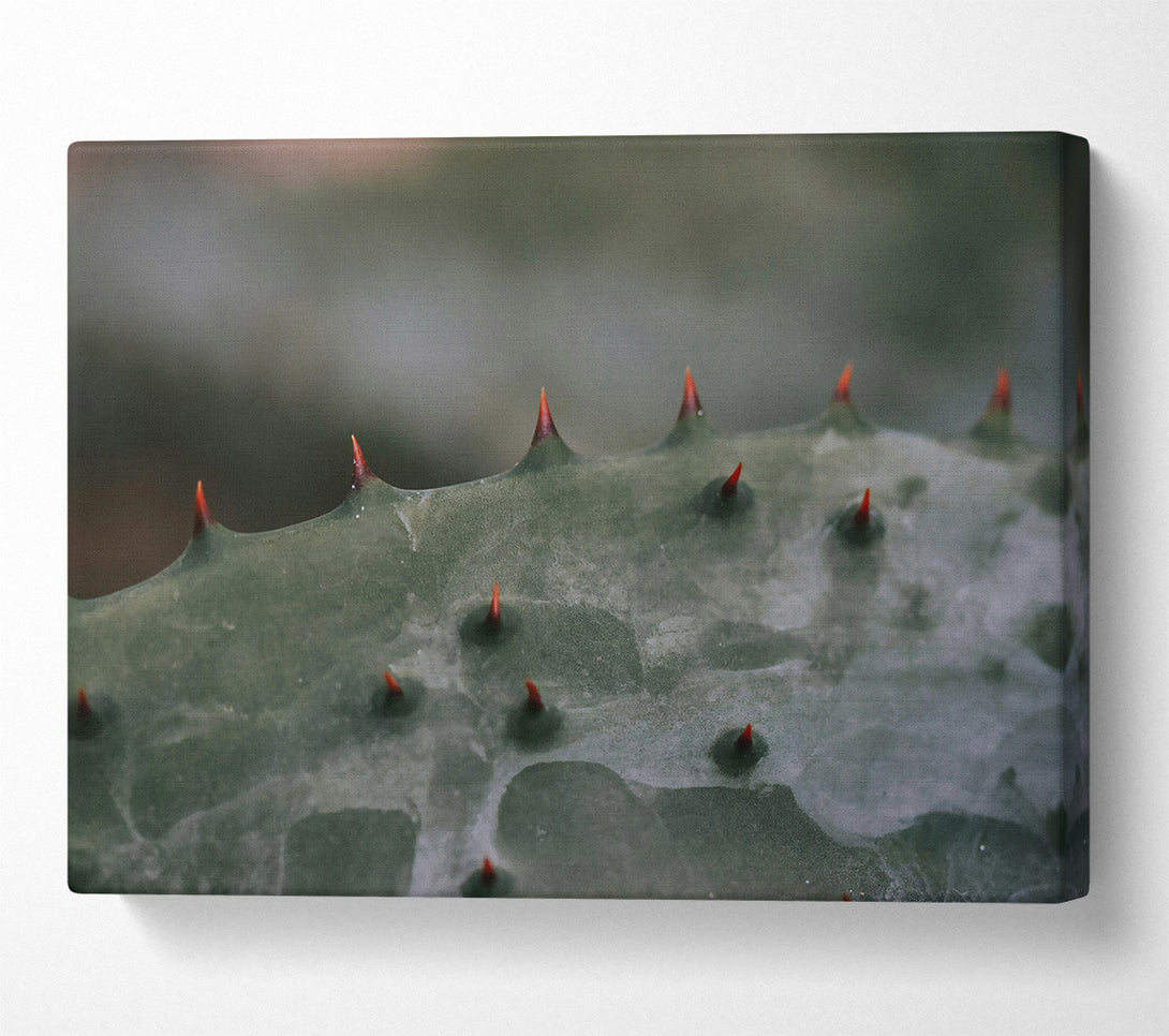  A Canvas Print of Green Spiked Texture Canvas Art