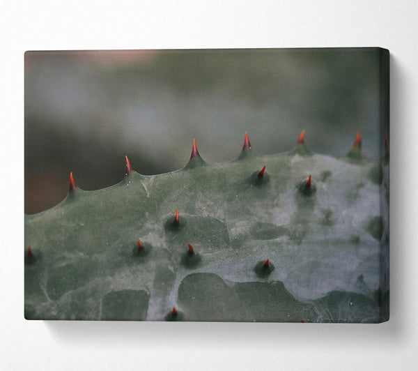  A Canvas Print of Green Spiked Texture Canvas Art