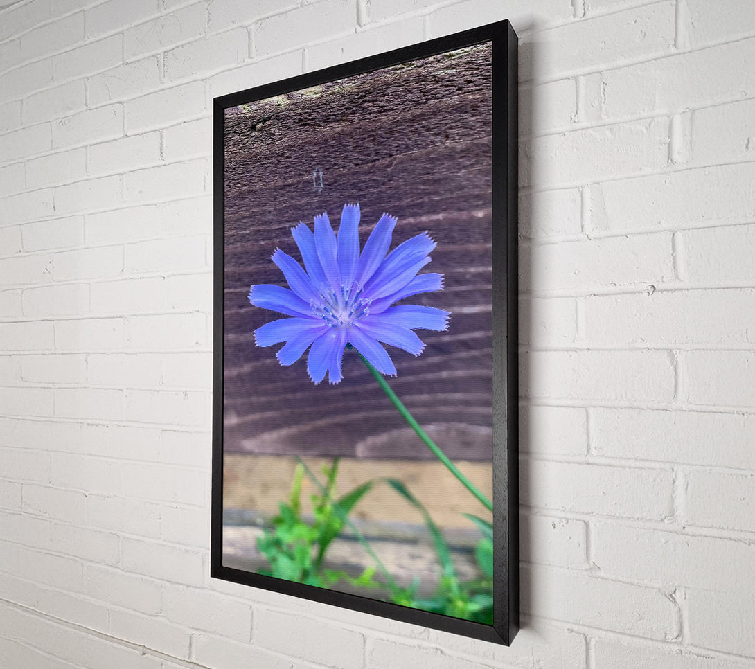  A Canvas Print of Blue Flower Bloom Canvas Wall Art