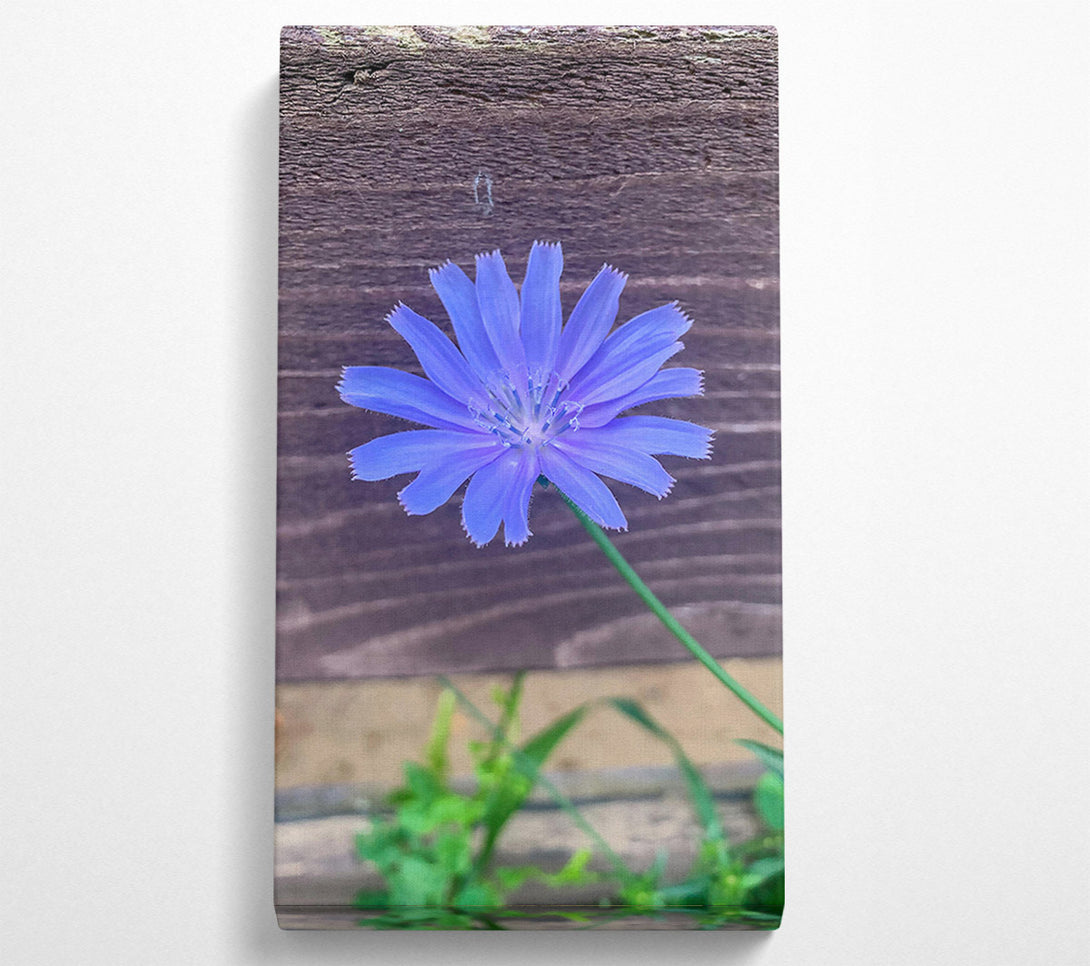  A Canvas Print of Blue Flower Bloom Canvas Wall Art