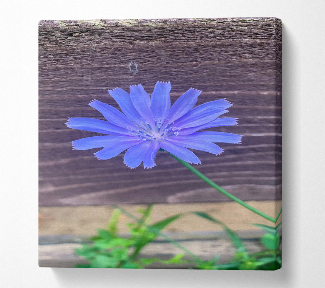  A Canvas Print of Blue Flower Bloom Canvas Wall Art