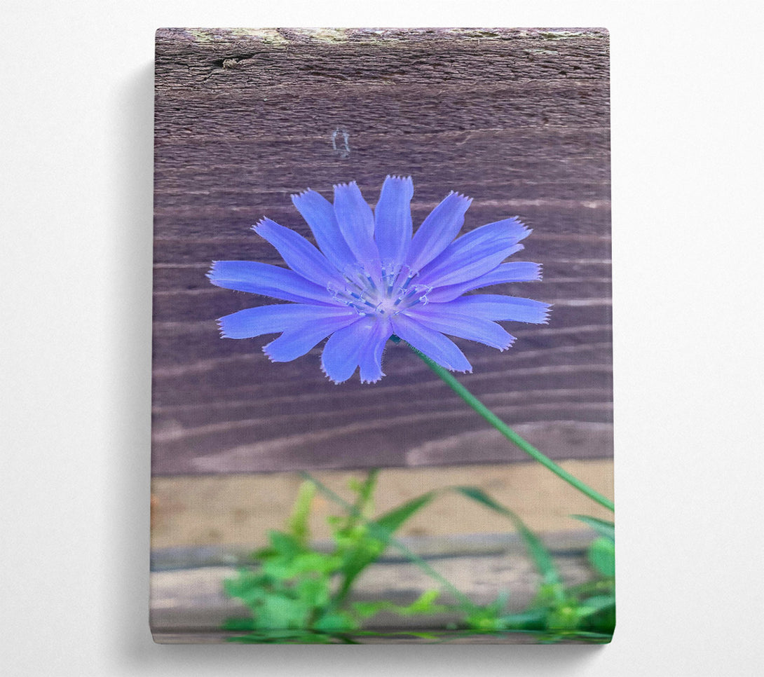  A Canvas Print of Blue Flower Bloom Canvas Wall Art