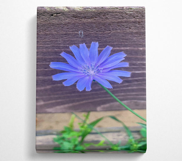  A Canvas Print of Blue Flower Bloom Canvas Wall Art