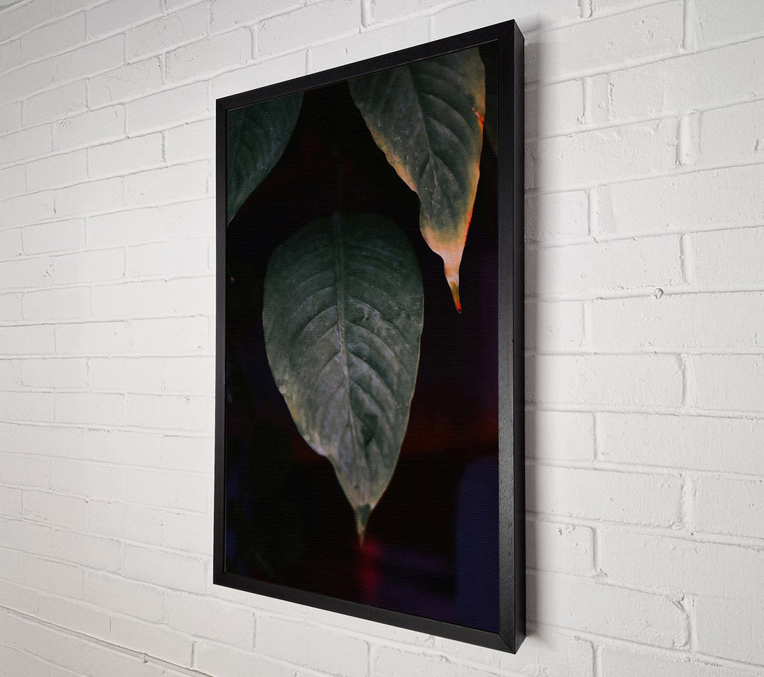  A Canvas Print of Green Leaf Silhouette Canvas Art