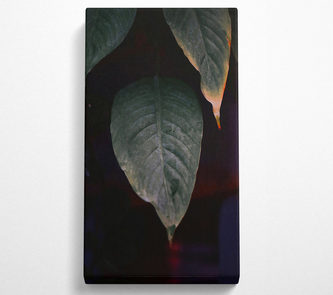  A Canvas Print of Green Leaf Silhouette Canvas Art