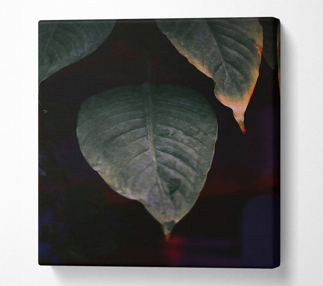  A Canvas Print of Green Leaf Silhouette Canvas Art