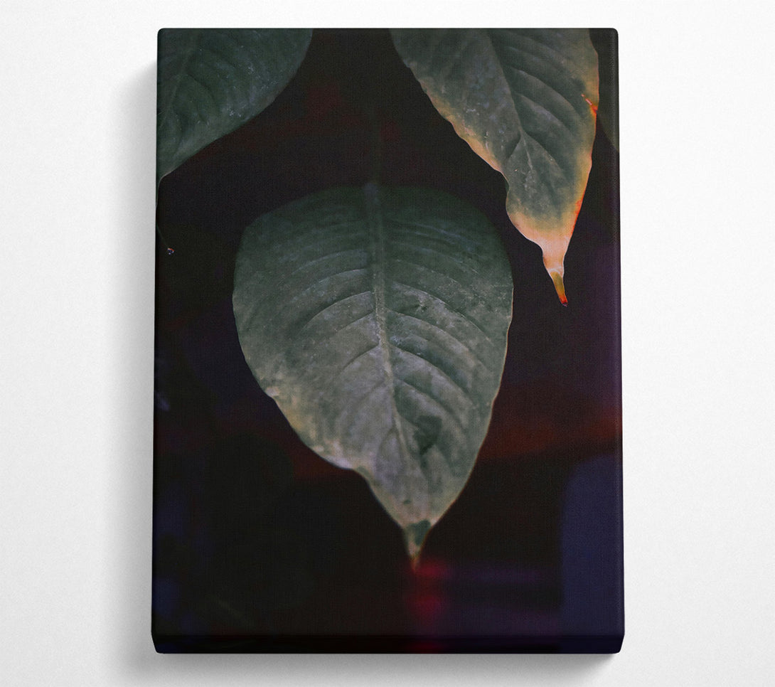 A Canvas Print of Green Leaf Silhouette Canvas Art