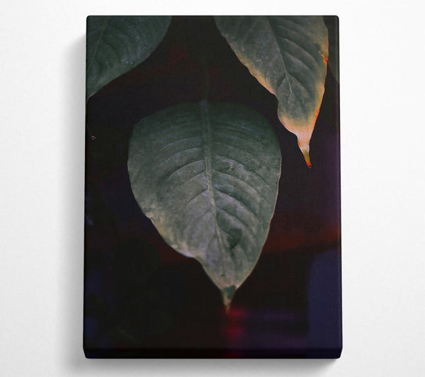  A Canvas Print of Green Leaf Silhouette Canvas Art