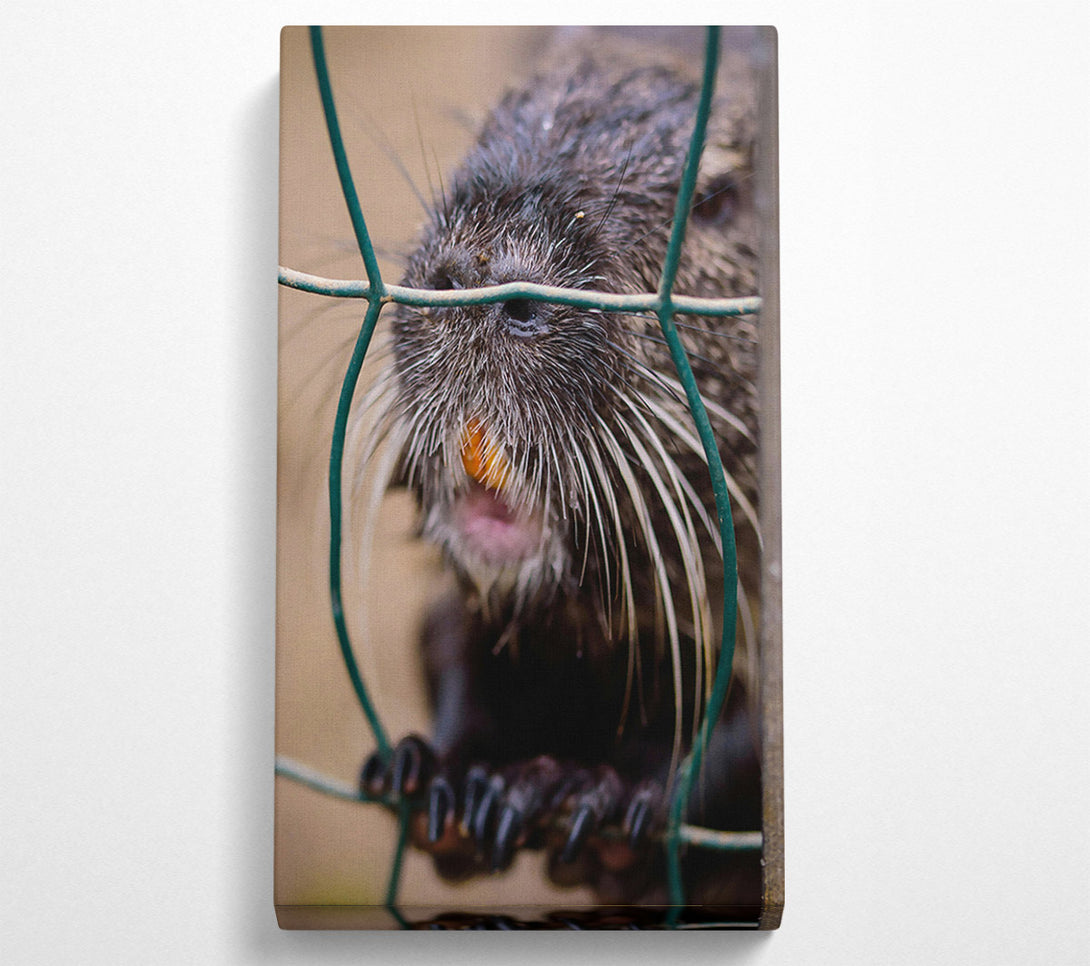 A Canvas Print of Green And Black Whiskered Bite Canvas Wall Art
