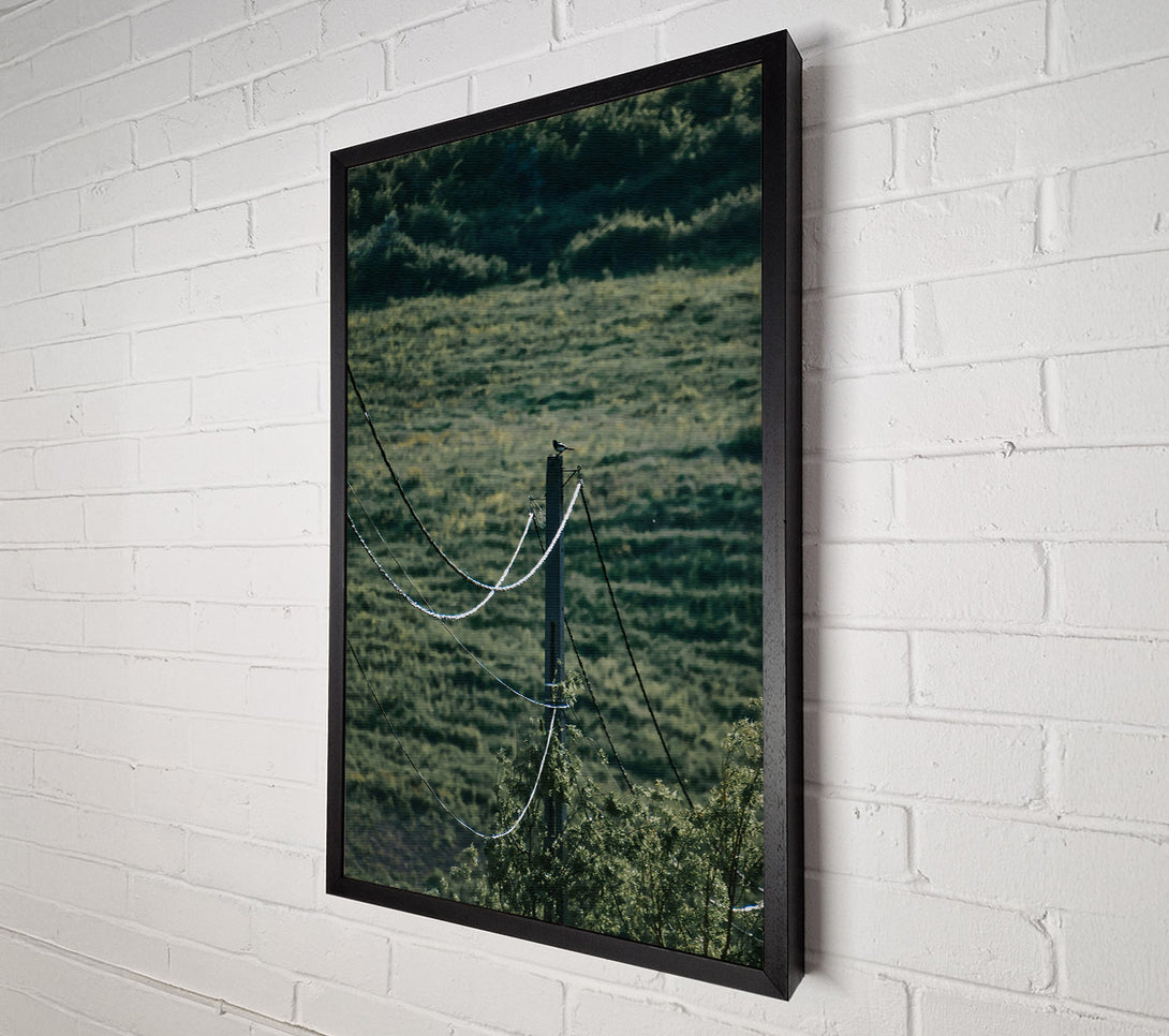  A Canvas Print of Green Wires And A Bird. Canvas Wall Art