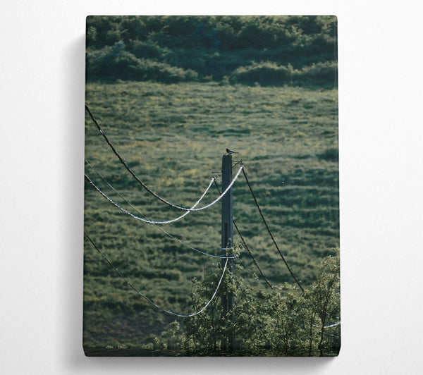  A Canvas Print of Green Wires And A Bird. Canvas Wall Art