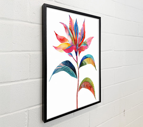 Paradise Flower