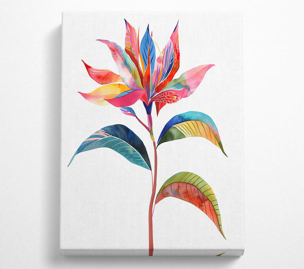  A Canvas Print of Paradise Flower Canvas Wall Art