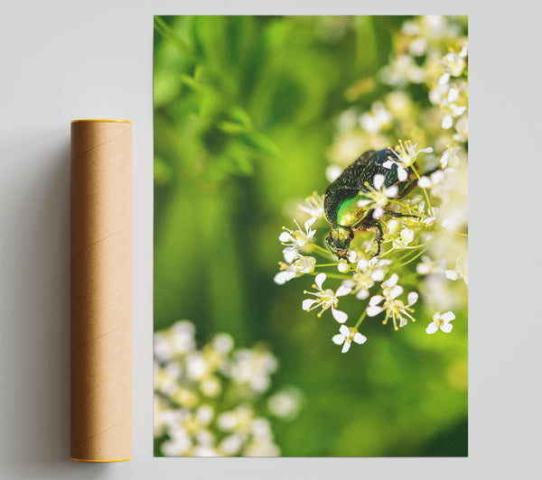 Emerald Bloom Beauty Giclee Print