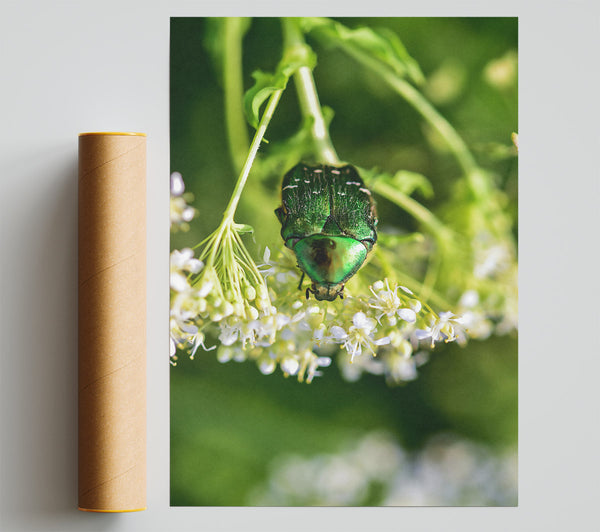 Emerald Beetle Bloom Print