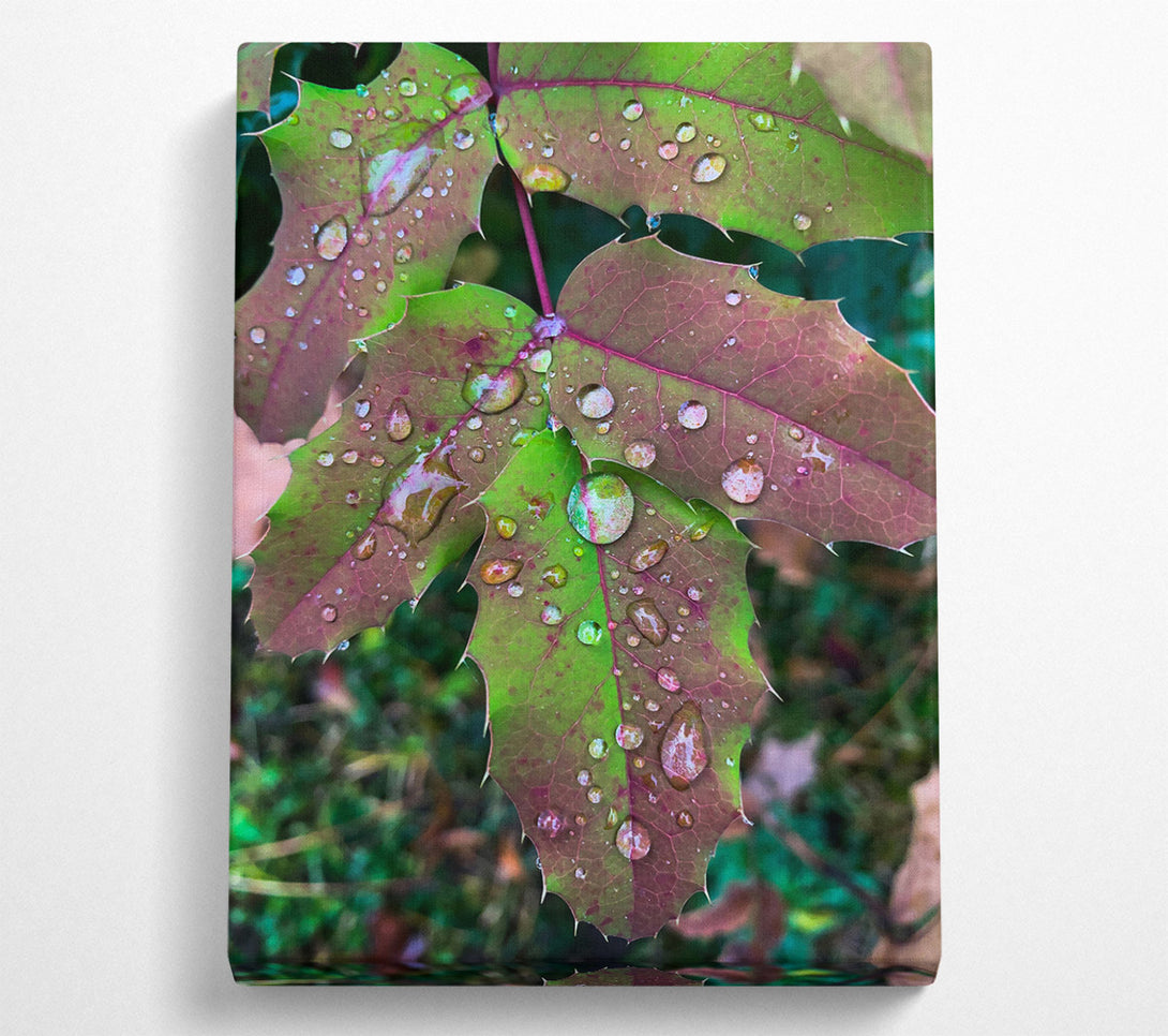  A Canvas Print of Emerald Dew Drops Canvas Wall Art