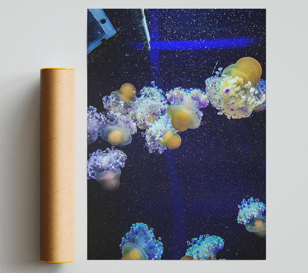 Yellow Jellyfish Dreams Print