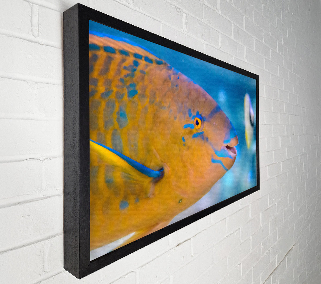  A Canvas Print of Golden Blue Blends Canvas Wall Art