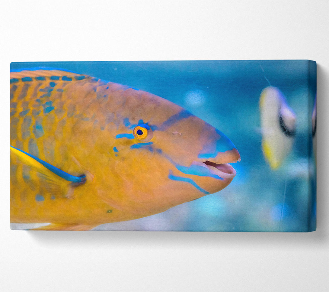  A Canvas Print of Golden Blue Blends Canvas Wall Art