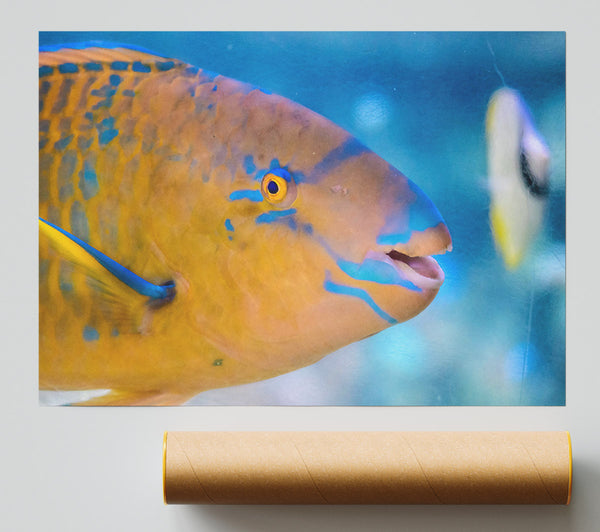 Golden Blue Blends Giclee Print