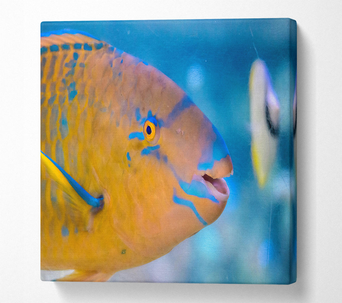  A Canvas Print of Golden Blue Blends Canvas Wall Art