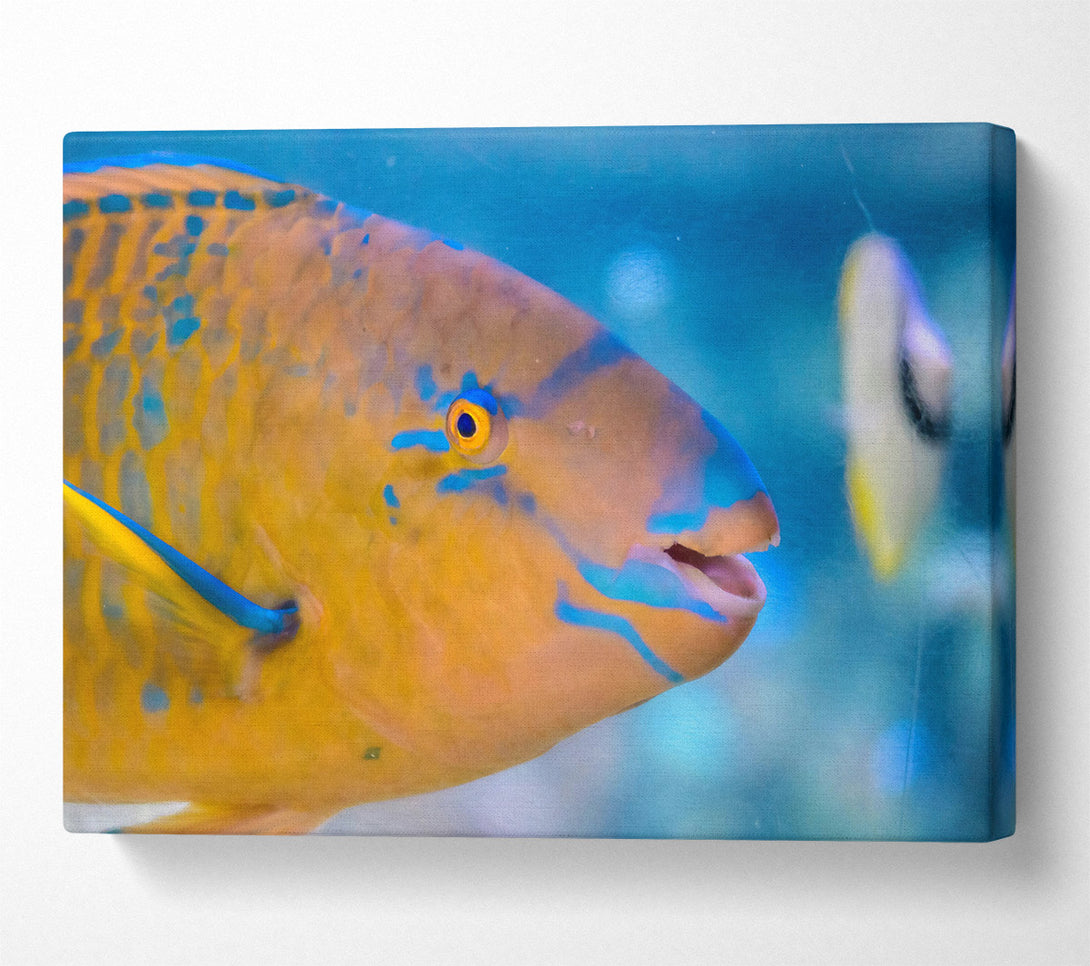  A Canvas Print of Golden Blue Blends Canvas Wall Art