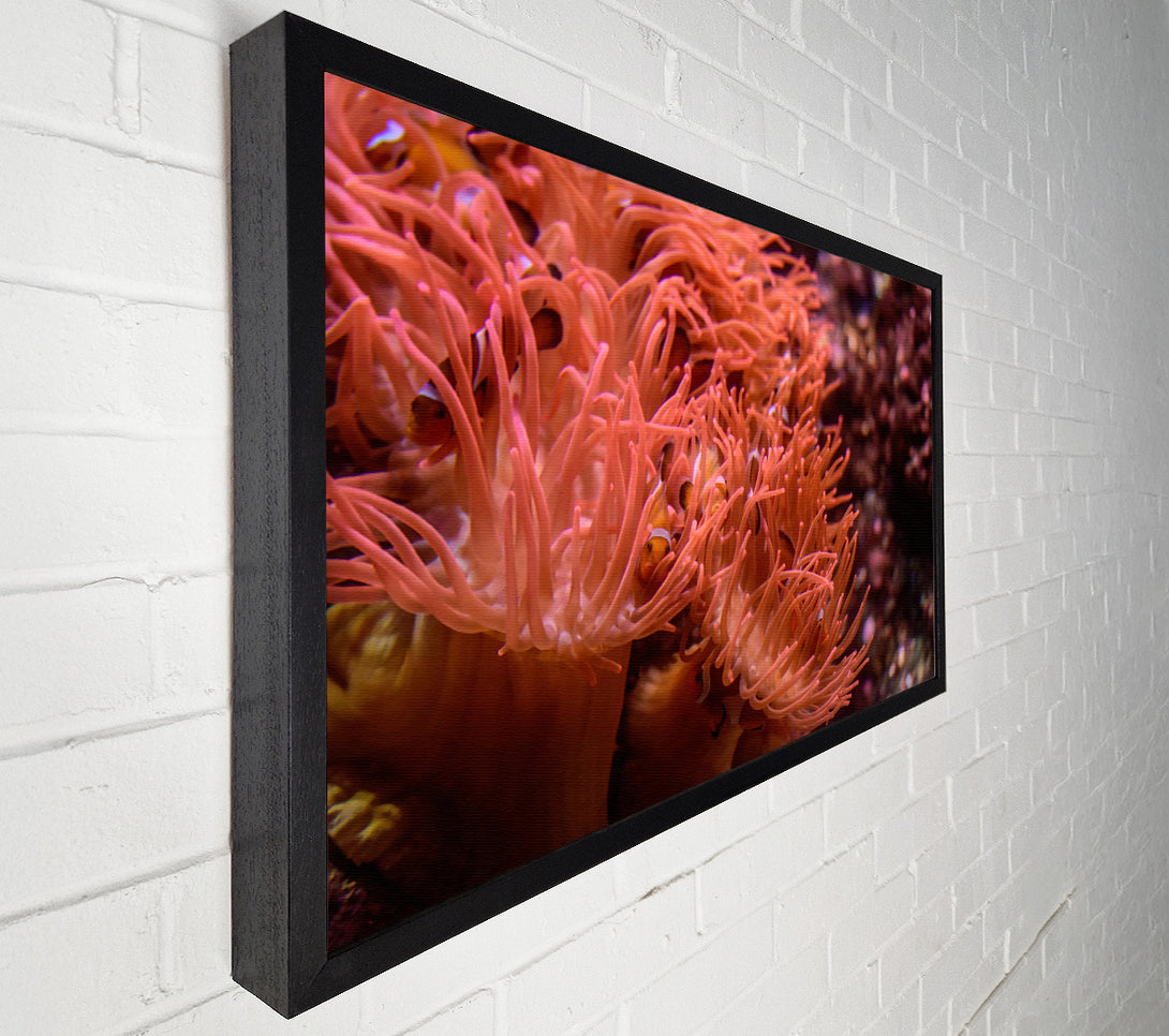  A Canvas Print of Coral Reef Embrace Canvas Art