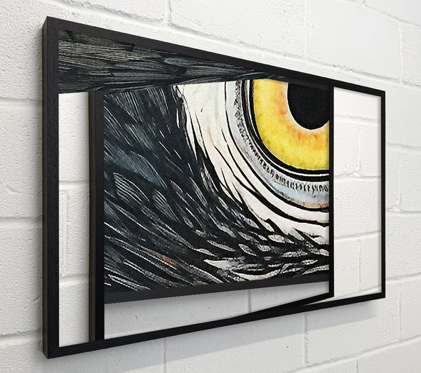 Parrot Close-Up Art