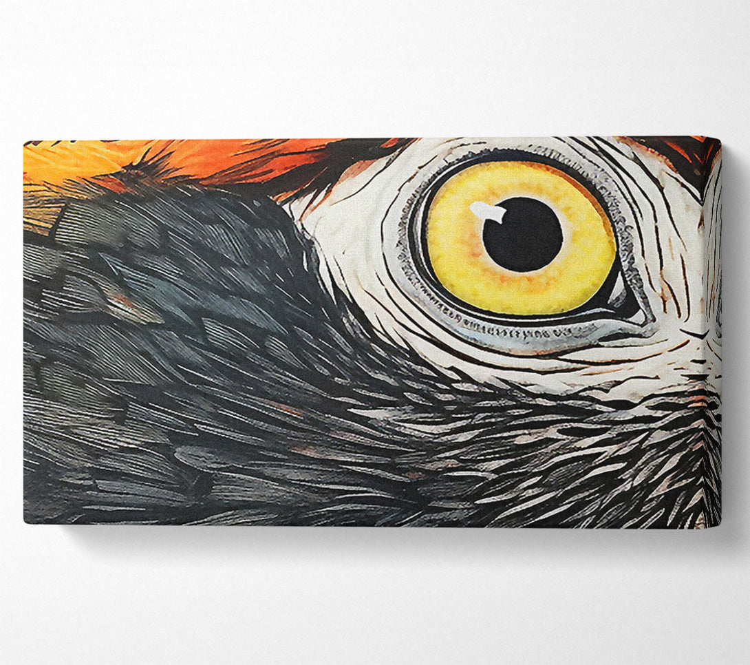  A Canvas Print of Parrot Close-Up Art Canvas Art