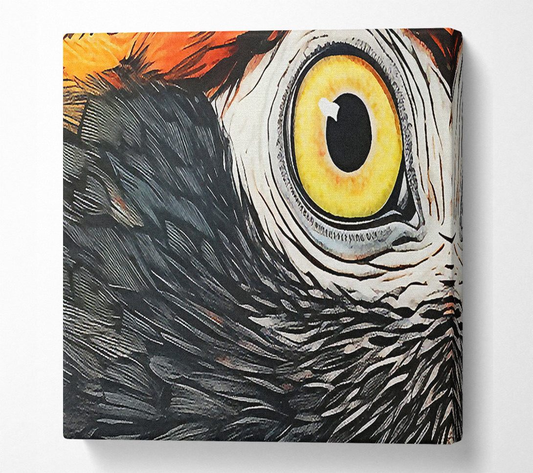  A Canvas Print of Parrot Close-Up Art Canvas Art