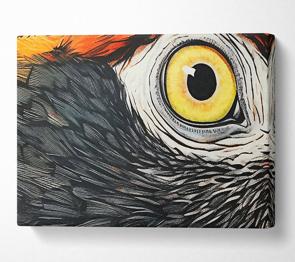  A Canvas Print of Parrot Close-Up Art Canvas Art