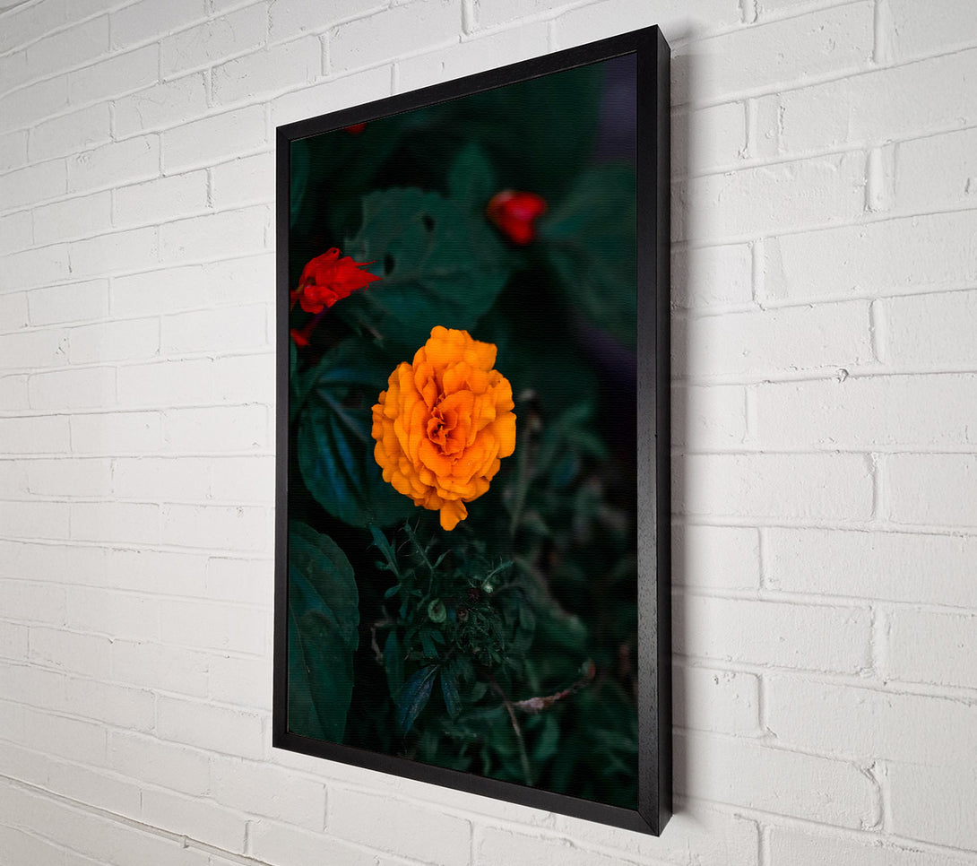  A Canvas Print of Orange Bloom In Green Canvas Art