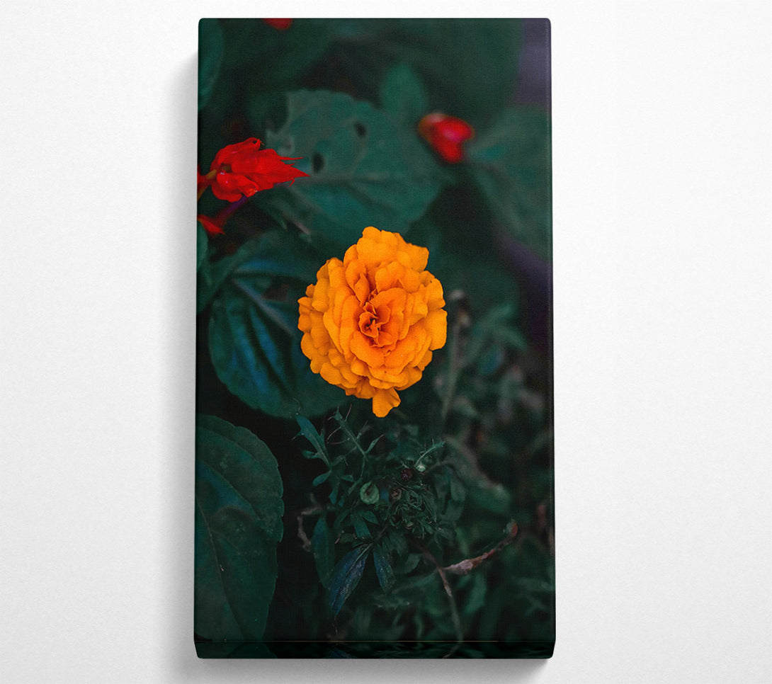  A Canvas Print of Orange Bloom In Green Canvas Art