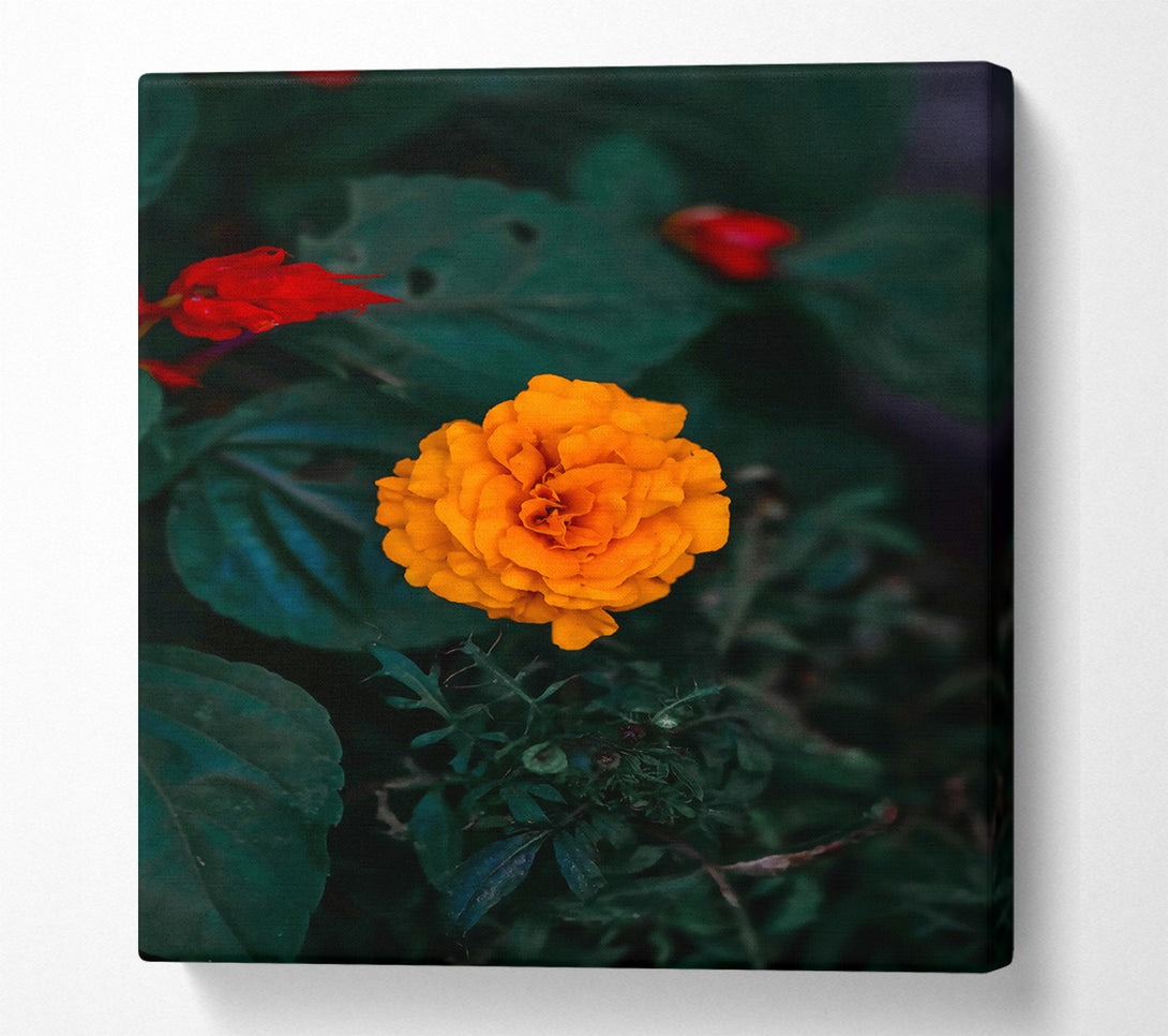  A Canvas Print of Orange Bloom In Green Canvas Art