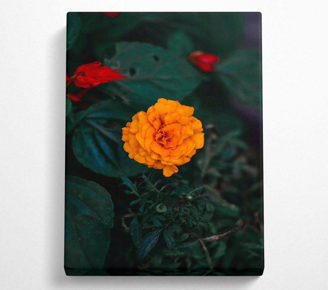  A Canvas Print of Orange Bloom In Green Canvas Art