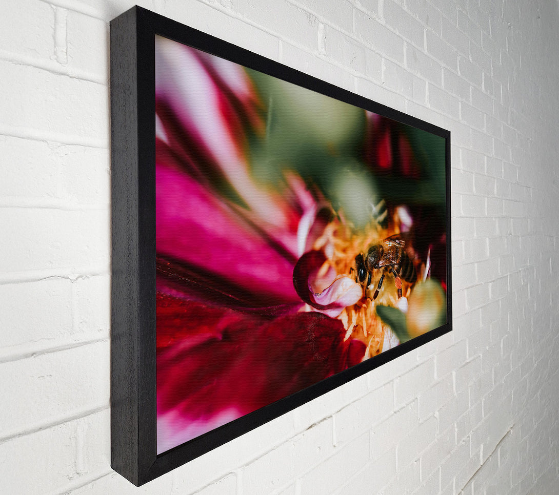  A Canvas Print of Crimson Pollen Bloom Canvas Art
