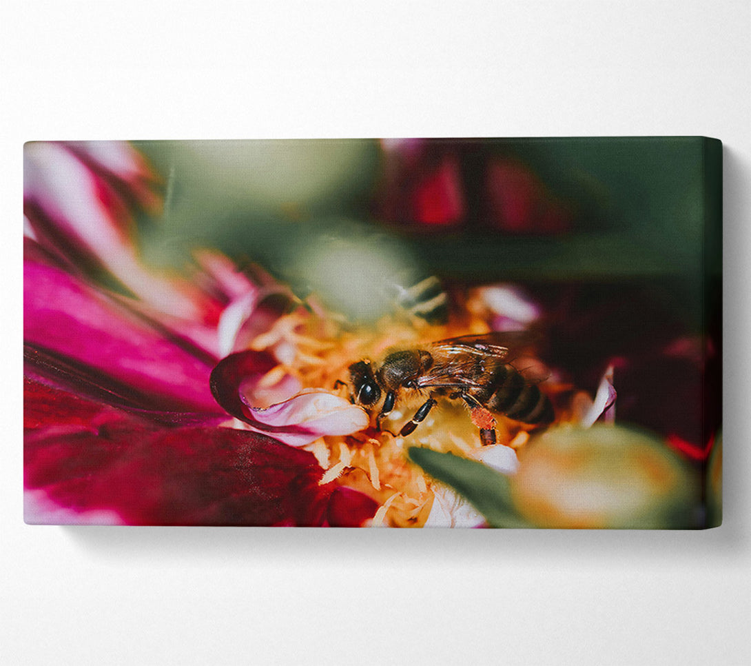  A Canvas Print of Crimson Pollen Bloom Canvas Art