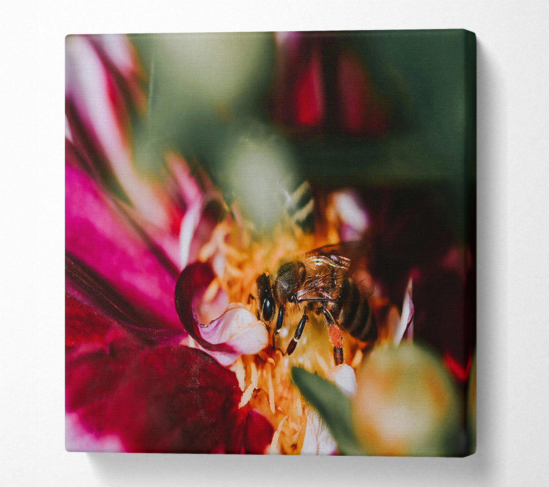  A Canvas Print of Crimson Pollen Bloom Canvas Art