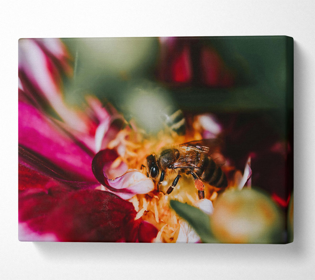  A Canvas Print of Crimson Pollen Bloom Canvas Art