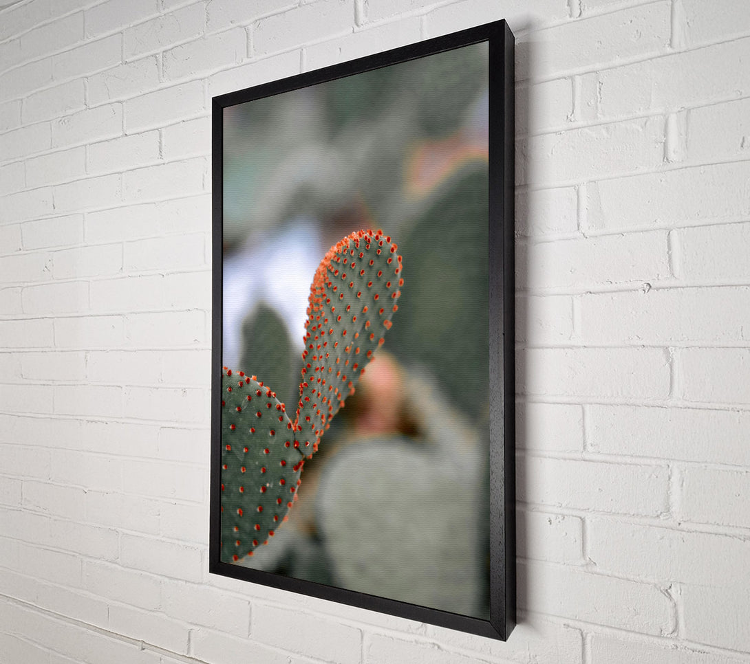  A Canvas Print of Orange Prickly Pear Canvas Art
