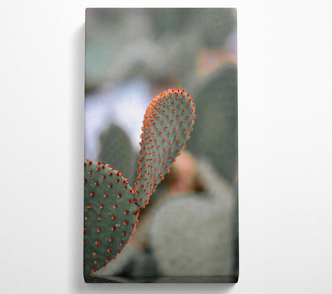  A Canvas Print of Orange Prickly Pear Canvas Art