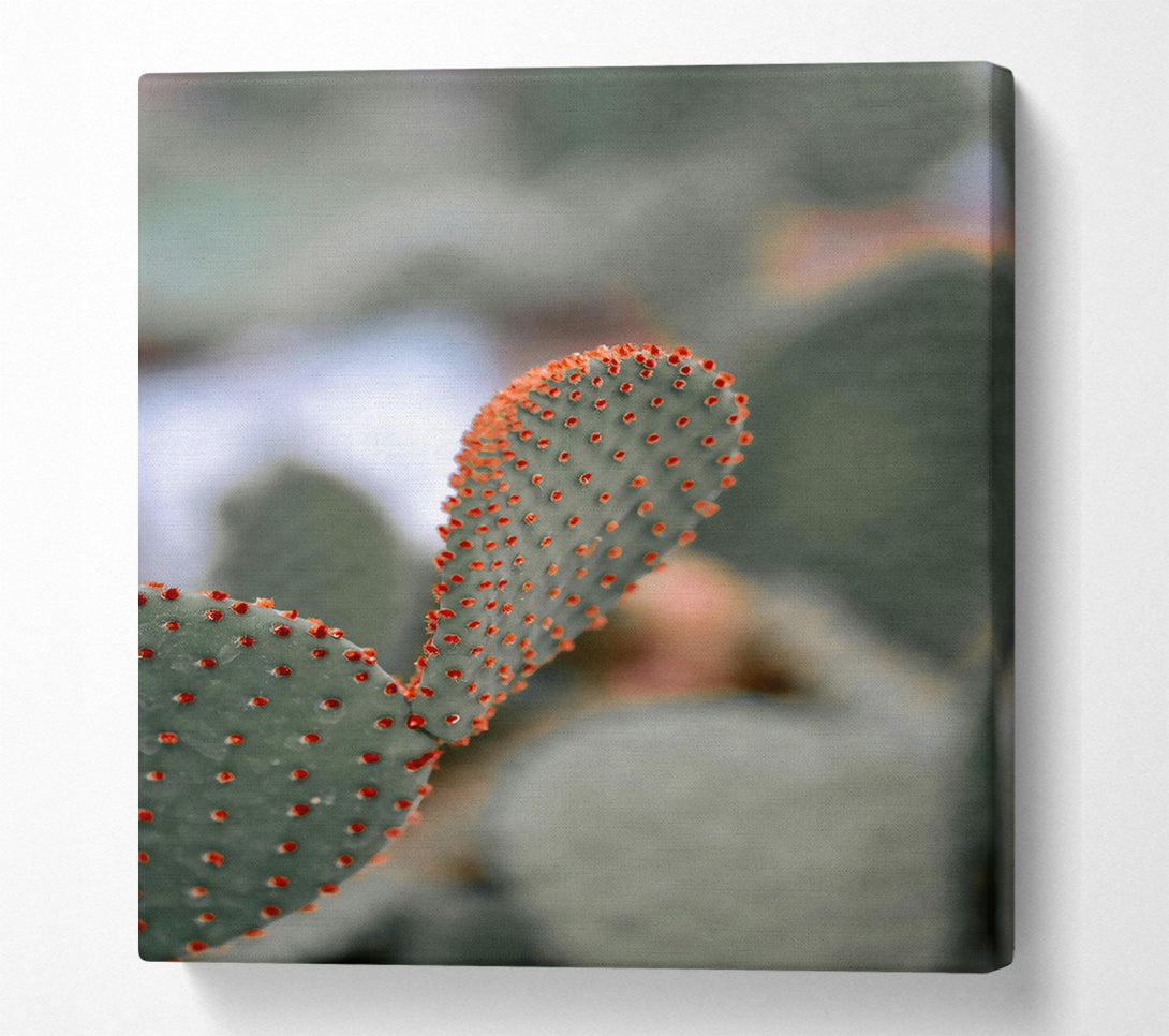  A Canvas Print of Orange Prickly Pear Canvas Art