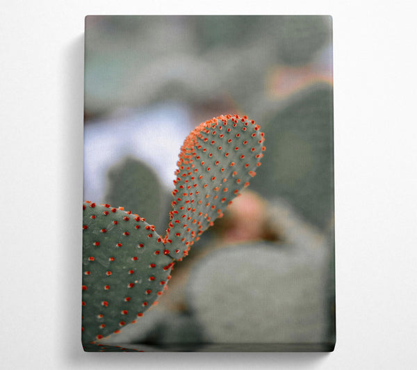  A Canvas Print of Orange Prickly Pear Canvas Art