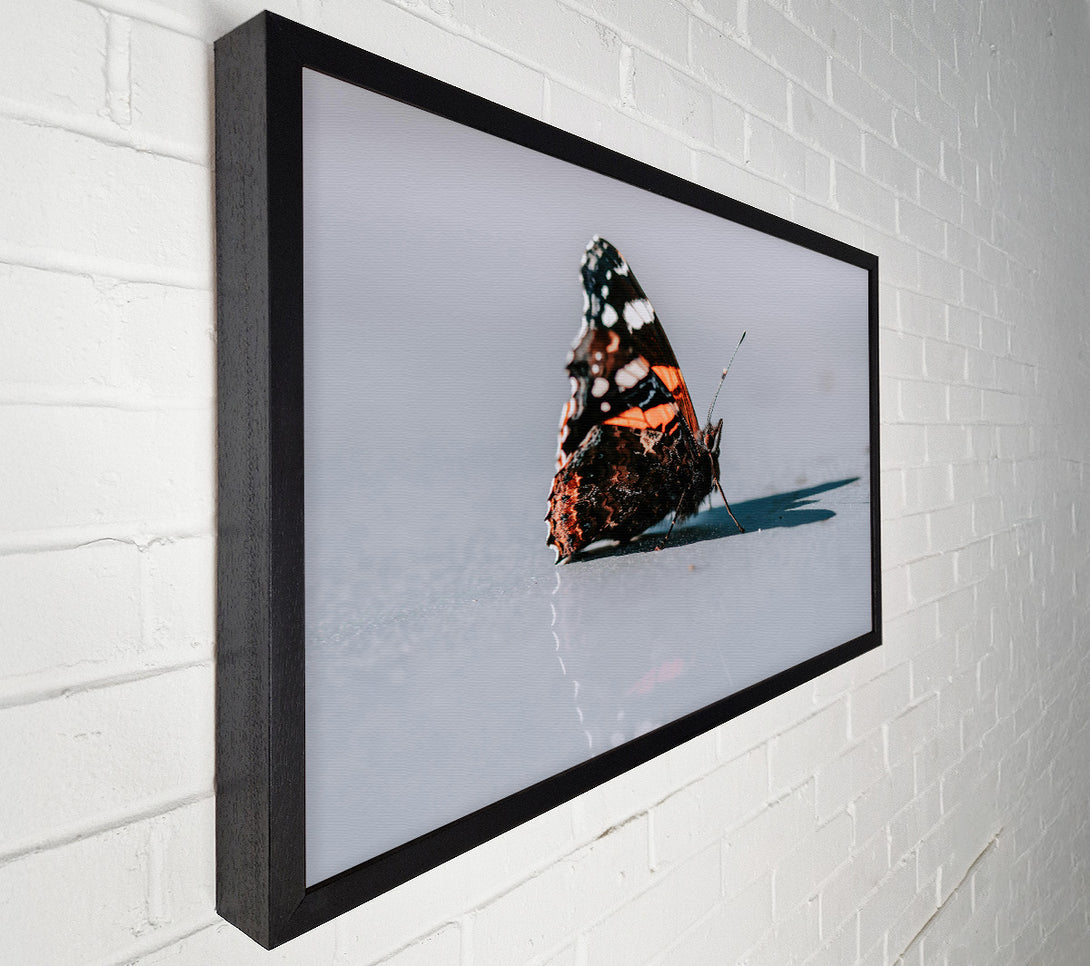  A Canvas Print of Orange Butterfly Reflection Canvas Print