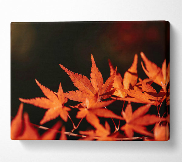  A Canvas Print of Crimson Autumn Leaves Canvas Wall Art
