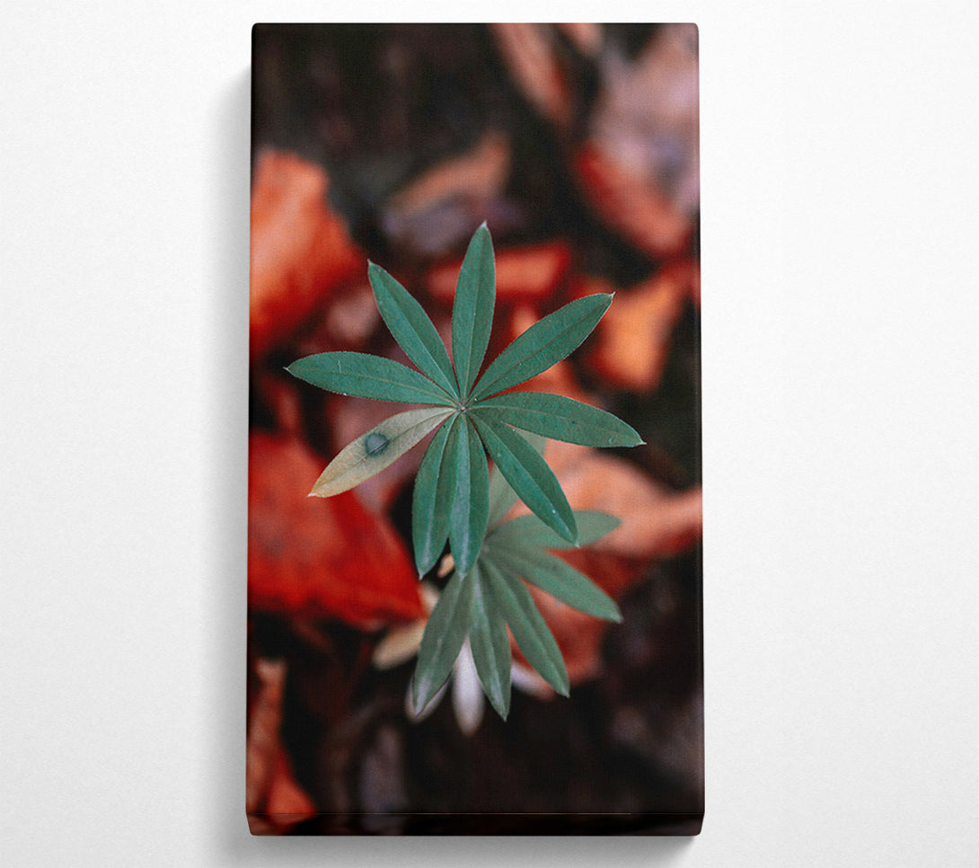  A Canvas Print of Green Leaf In Red Light Canvas Wall Art