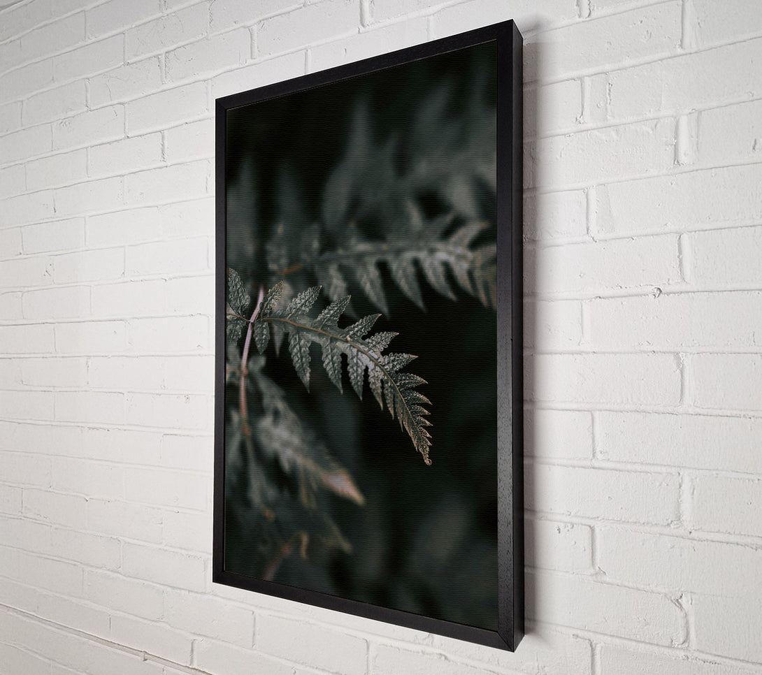  A Canvas Print of Emerald Fern Whispers Canvas Print
