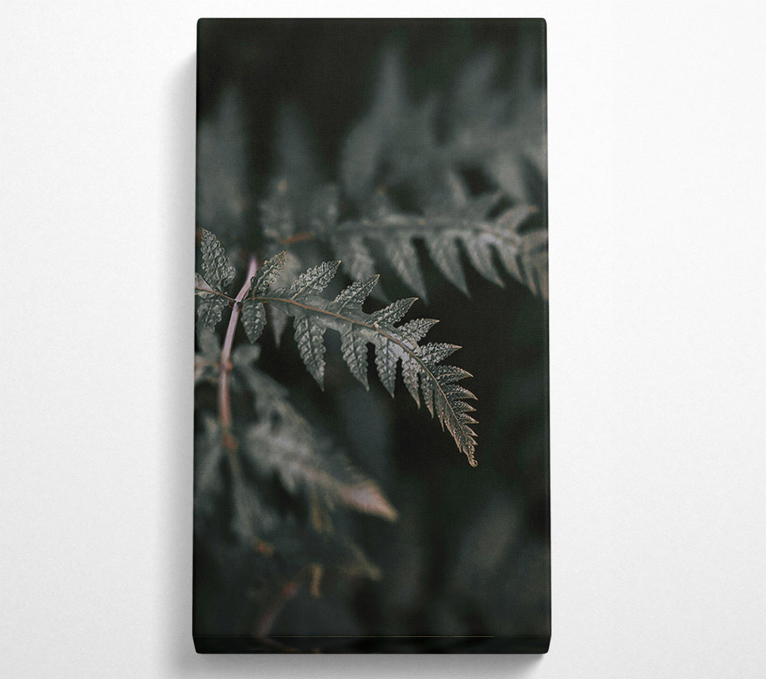  A Canvas Print of Emerald Fern Whispers Canvas Print